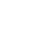 Custom Software and Web Application Development