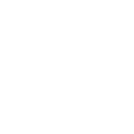 Cyber Security and IT Infrastructure Protection