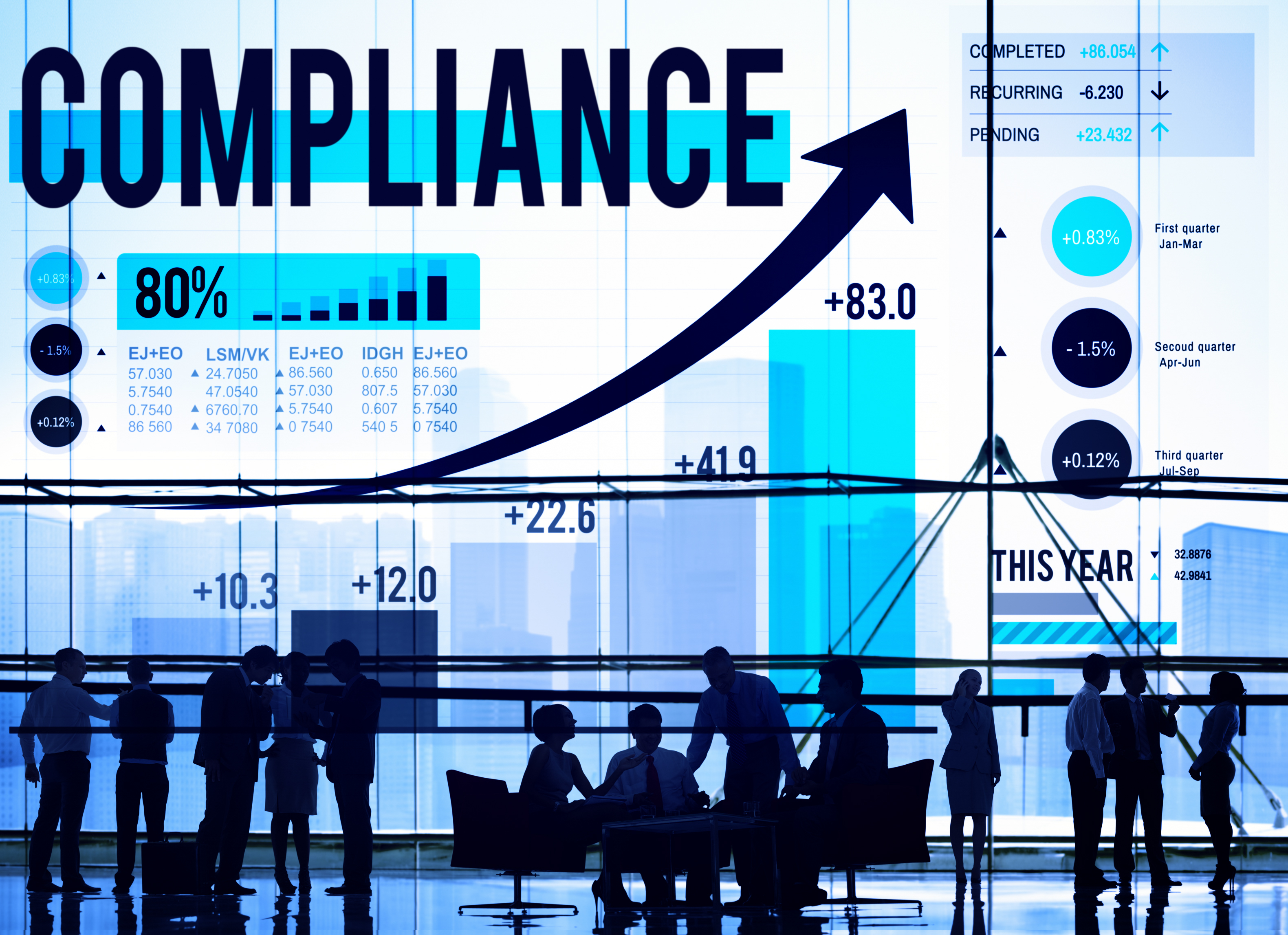 Statutory Compliance Services